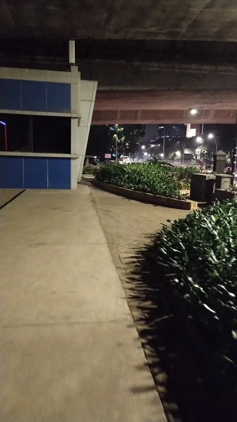 Walk under the flyover Stock Footage 207486131