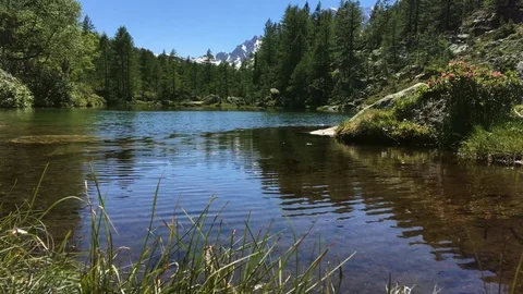 Walk until the lake with dolly camera movement Video stock 112216326