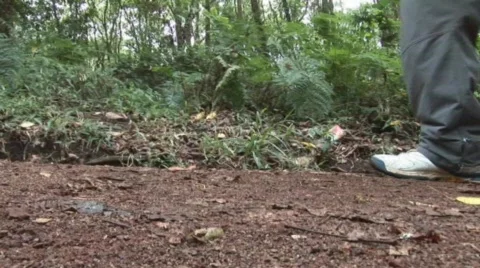 Walk uphill Stock Footage 495315