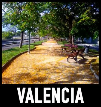 Walk in Valencia   Stock Photos
