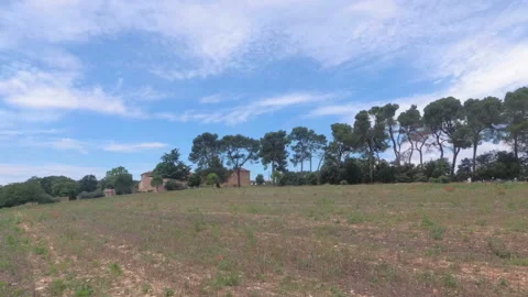 Walk with a video camera through the fields in Provence. Slow motion. France Stock Footage 97498001