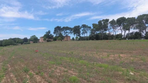 Walk with a video camera through the fields in Provence. Slow motion. France Stock Footage 97498116