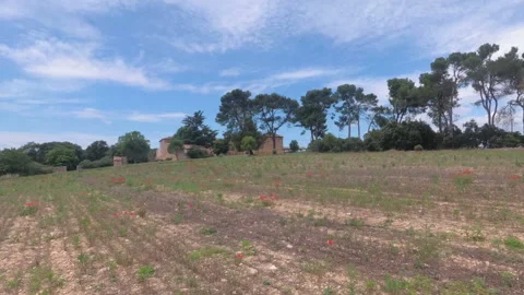 Walk with a video camera through the fields in Provence. Slow motion. France Stock Footage 97498232