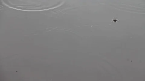 Walk on water on the boat Vídeo Stock 72840814