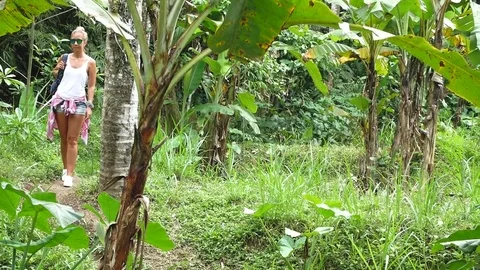 Walk to the waterfall along the path in the rainforest. Stock Footage 73638854
