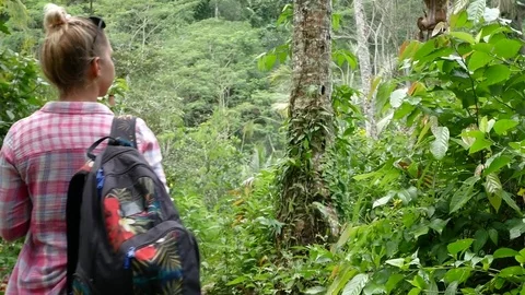 Walk to the waterfall along the path in the rainforest. Bali, Indonesia. Stock Footage 84786799