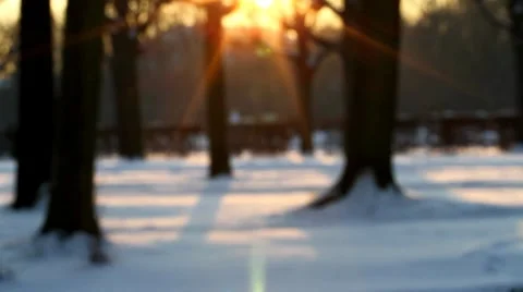 Walk this way children Stock Footage 8577620