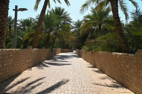 Walk Way inside Al Ain Oasis Dates Farm Stock Photos