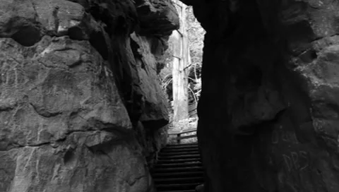 Walk way in the woods Stock Footage 7734872