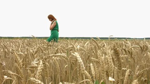 Walk on the wheat field. Stock Footage 88153145