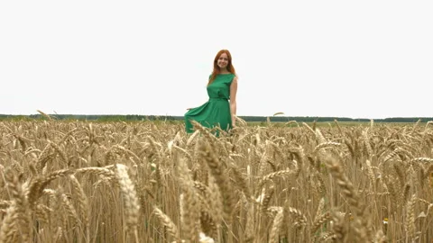 Walk on the wheat field. Stock Footage 88153297
