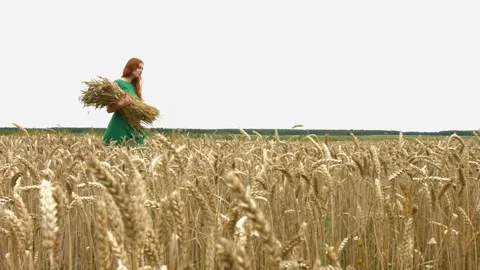 Walk on the wheat field. Stockbeeldmateriaal 88153408