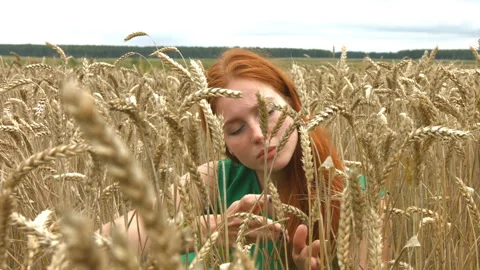 Walk on the wheat field. Видео 88153509