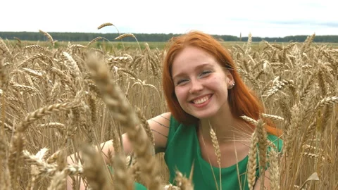 Walk on the wheat field. Видео 88153546