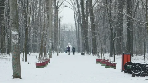 Walk in the winter city park Vídeo Stock 99490211