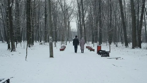 Walk in the winter city park Vídeo Stock 99490229