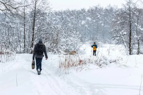 Walk in the winter forest Stock Photos