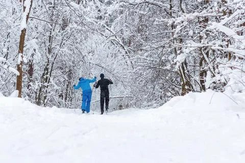 Walk in the winter forest Stock Photos