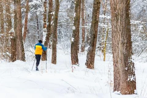 Walk in the winter forest Stock-Fotos