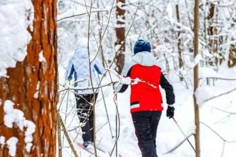 Walk in the winter forest Stock Photos