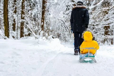 Walk in the winter forest Foto stock