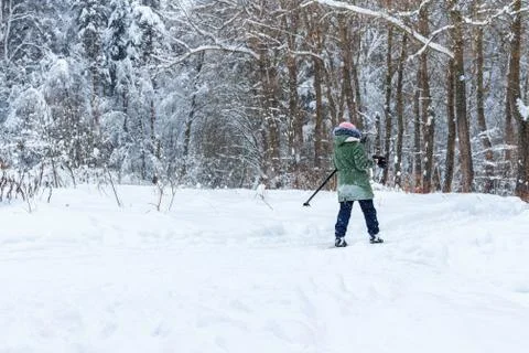 Walk in the winter forest Stock Photos