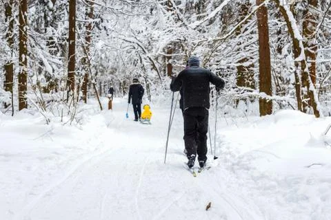 Walk in the winter forest Stock Photos