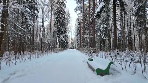 Walk in the winter park. Slowmotion Stock-Footage 336741288