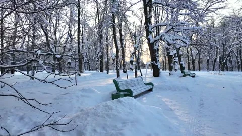 Walk in the winter park. Slowmotion Stock-Footage 336741291