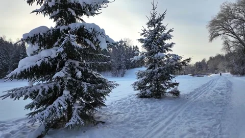 Walk in the winter park. Slowmotion Stock-Footage 336741320