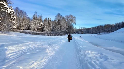 Walk in the winter park. Slowmotion Vídeos de archivo 336741324