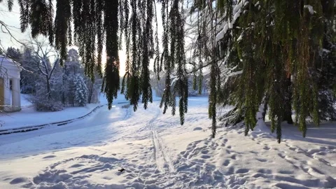 Walk in the winter park. Slowmotion Stock-Footage 336741414