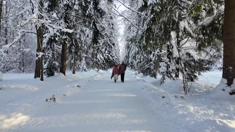 Walk in the winter park. Slowmotion 스톡 동영상 336741444