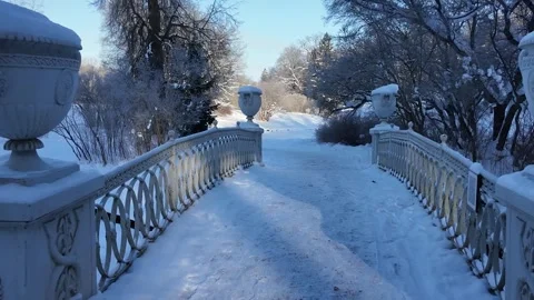 A walk in the winter snow park. Slowmotion Stock-Footage 336023261