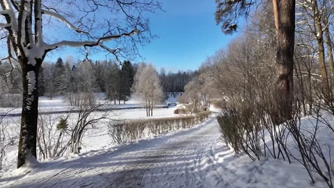 A walk in the winter snow park. Slowmotion Stock-Footage 336023348