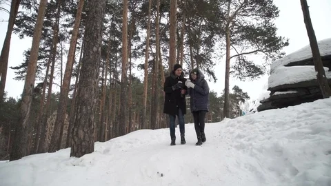 A walk in the winter woods Stockbeeldmateriaal 72253081