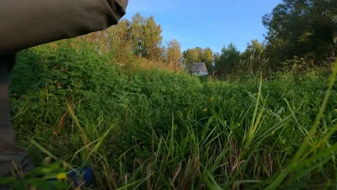 Walk in the woods, back view Stock-Footage 161447889