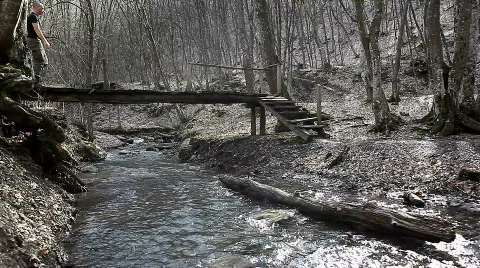 A walk in the woods Stock Footage 666480