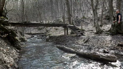 A walk in the woods Stock Footage 666491