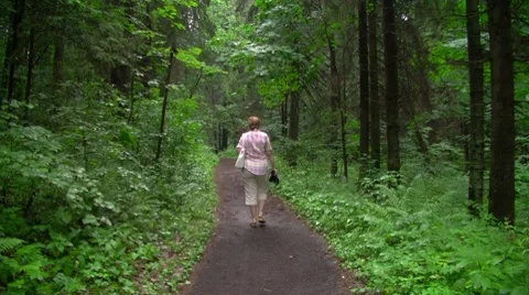 Walk in the woods Stock Footage 7761353