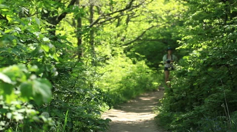 A walk in the woods Stock Footage 53746861