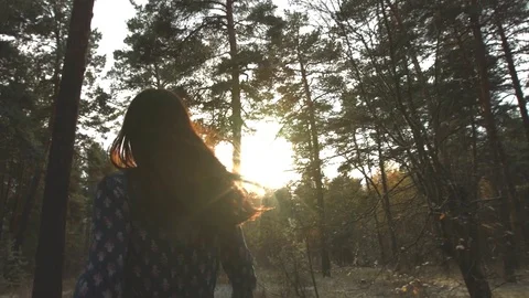 A walk in the woods. Stock Footage 71290971