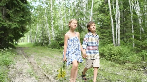 Walk in woods Stock Footage 112121849