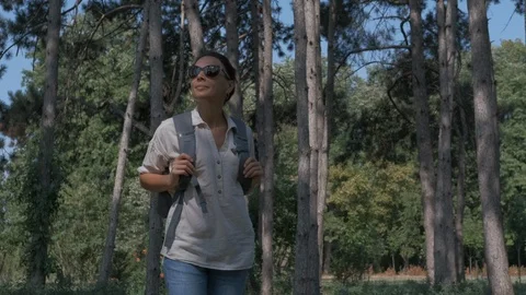 Walk in the woods. Stock Footage 126862555