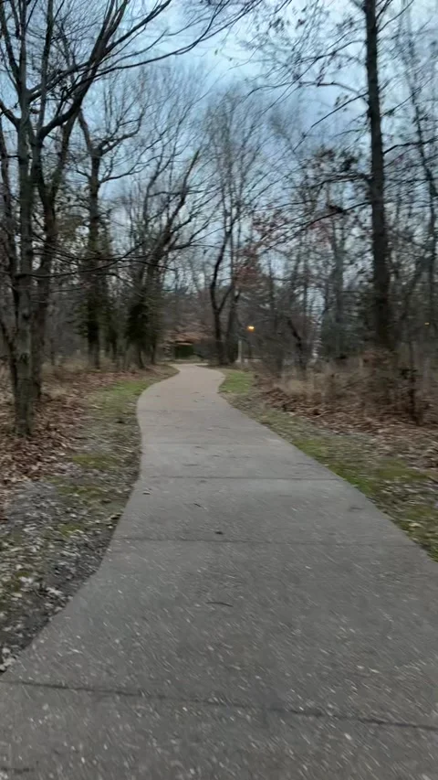A Walk in the Woods Stock Footage 168831105