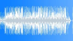 Walk the World (acoustic, uplifting, determined, reflective) Stock Music