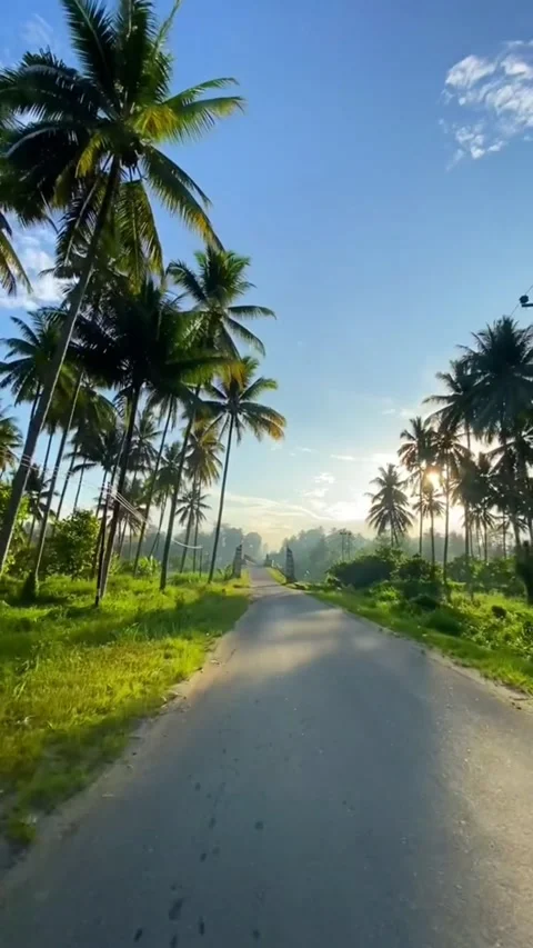 Walk1 Stock Footage 275015434