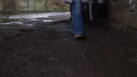 Walker along lonely canalside towpath Stock Footage 147843720