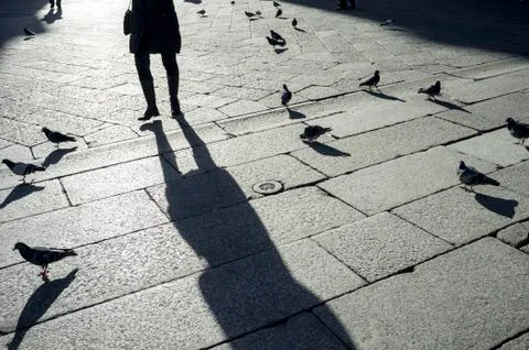 Walker and shadow Stock Photos