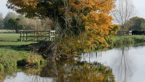 Walker cleaning the mud off his boots in the River Stour near Dedham Stock Footage 119242548